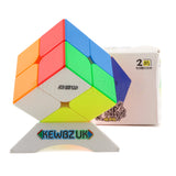 DianSheng 2x2 (Magnetic)