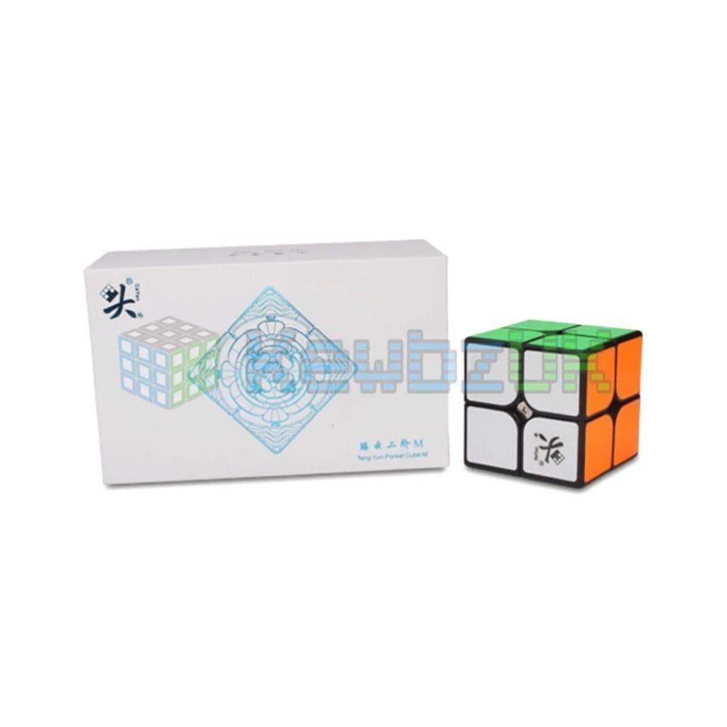 DaYan TengYun 2x2 (Magnetic)